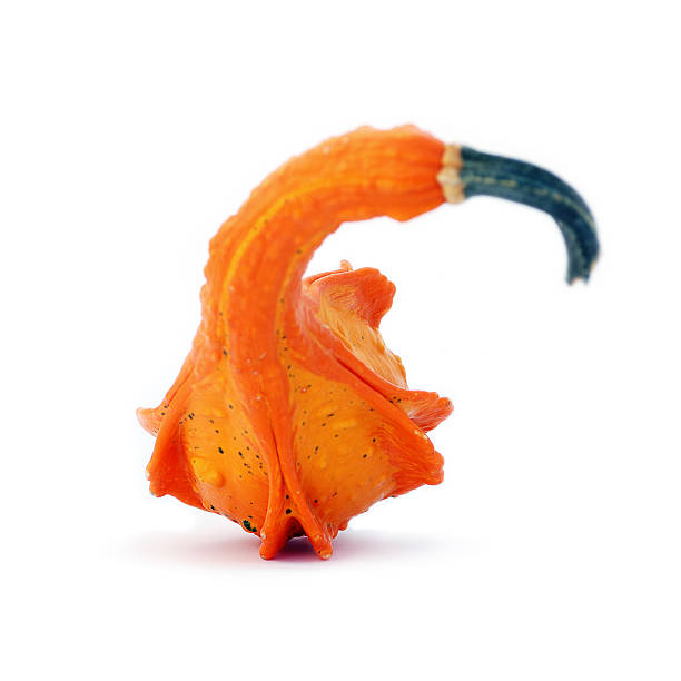 istock Vividly orange unusually shaped autumn squash 153483511