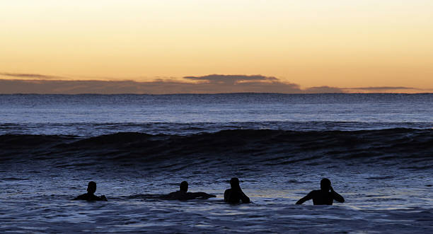 istock Early Morning Surfers 153483843