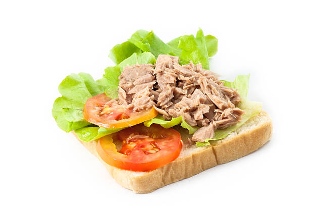 Tuna sandwich stock photo