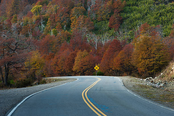 Seven Lakes Route (234) in autumn. NeuquÃ©n Province. Argentina