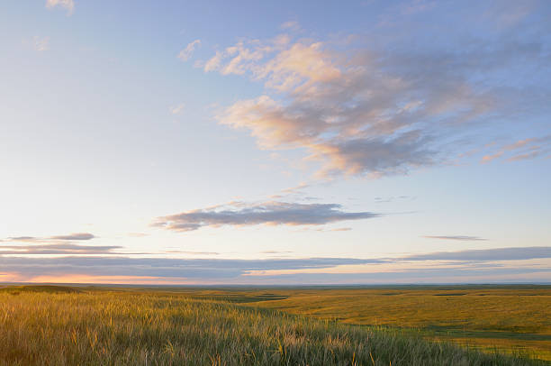 Grasslands Grasslands in late afternoon sun. south dakota stock pictures, royalty-free photos & images