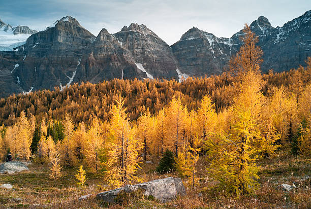 istock Valley of the Ten Peaks 153487143