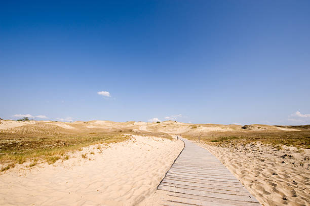 istock Seaside Dunes Landscape, Nida, Lithuania (Baltic Sea) 153487555