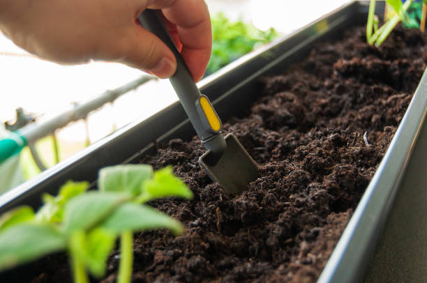 istock Garden soil on mini spade from hobby gardener on balcony 1534881836