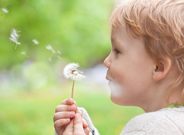 istock Young blond kid blowing wishes on dandelion seed 153489179