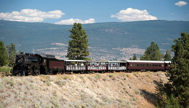 istock Historic Steam locomotive 153489571