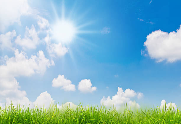 istock Green grass and blue sky 153489911