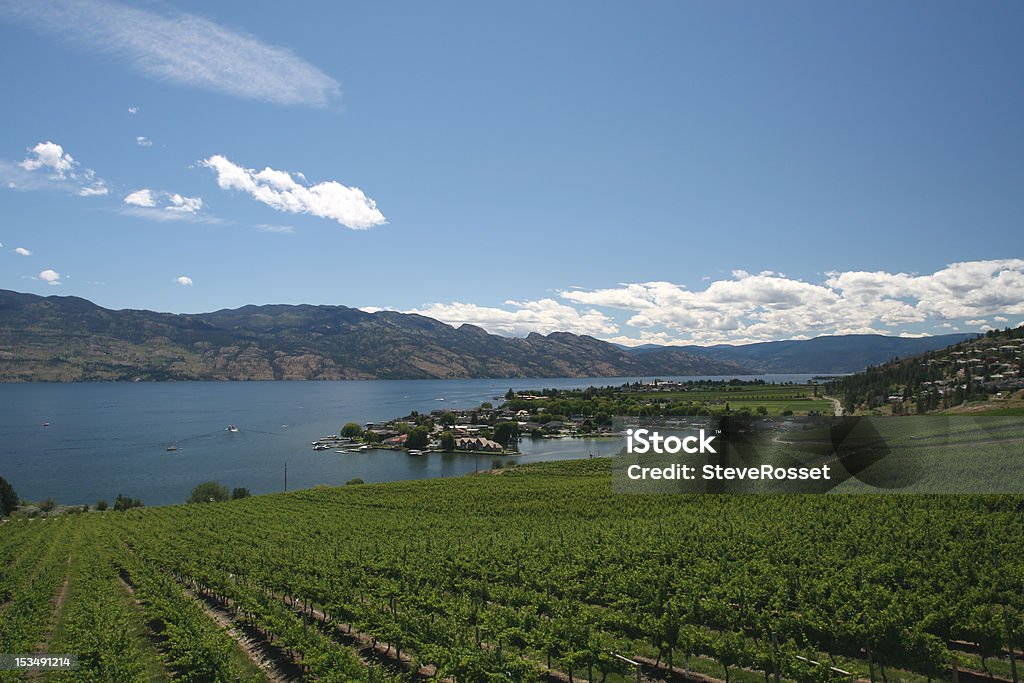 Okanagan Weingütern - Lizenzfrei Britisch-Kolumbien Stock-Foto