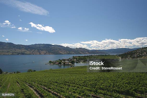 Okanagan Weingütern Stockfoto und mehr Bilder von Britisch-Kolumbien - Britisch-Kolumbien, Fotografie, Freizeitaktivität