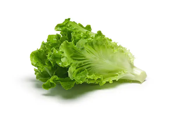 Photo of Fresh Lettuce