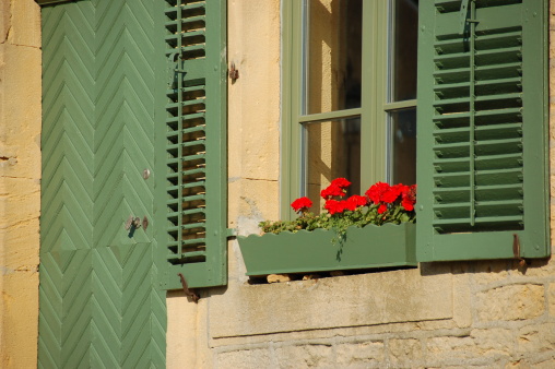 Green shutters and red flowers under the sun