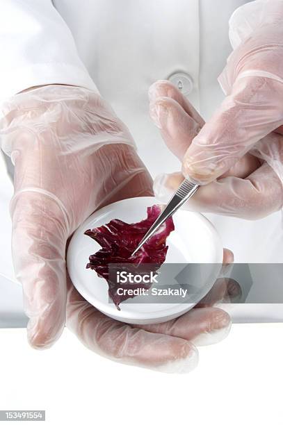 Photo libre de droit de Salade Rouge Est Examinée Dans Le Laboratoire De Restauration banque d'images et plus d'images libres de droit de Agent pathogène