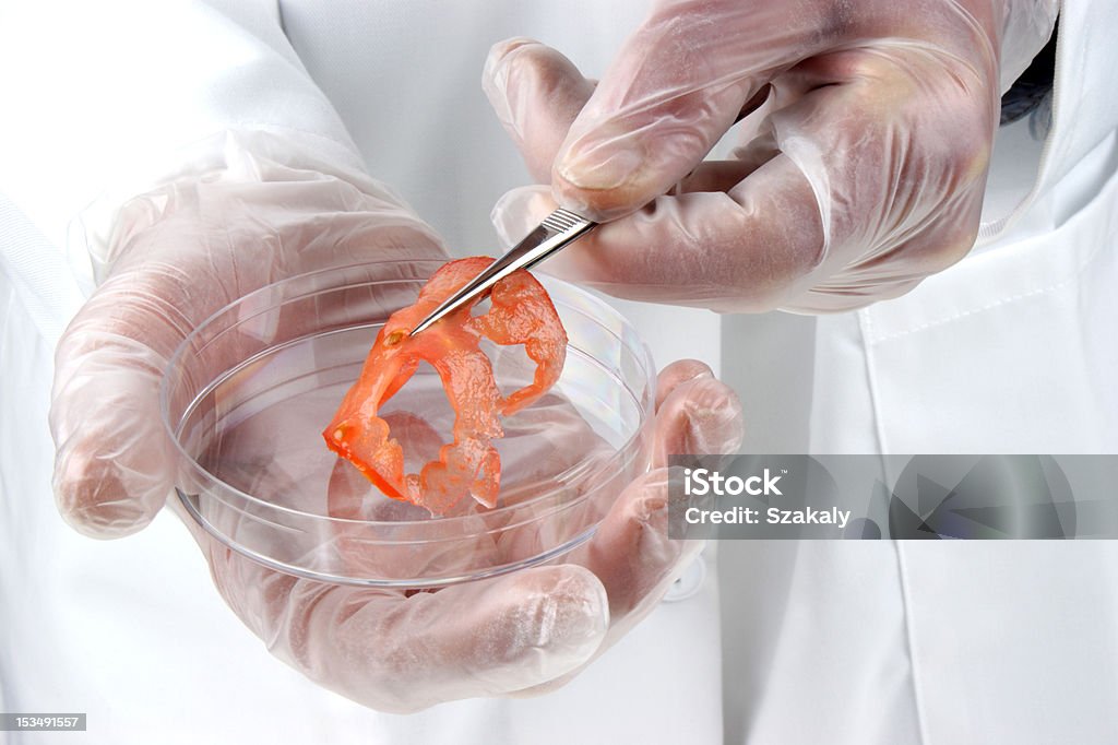 Fettina di pomodoro viene esaminato in laboratorio di cibo - Foto stock royalty-free di Alimentazione sana