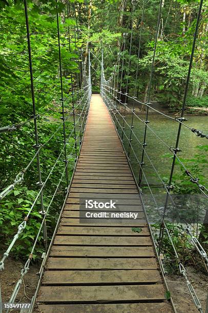 Wąski Stopy Bridge - zdjęcia stockowe i więcej obrazów Bez ludzi - Bez ludzi, Deska, Drewno - Tworzywo