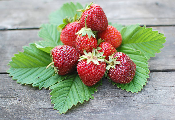 istock strawberry - berries on leaves 153491844