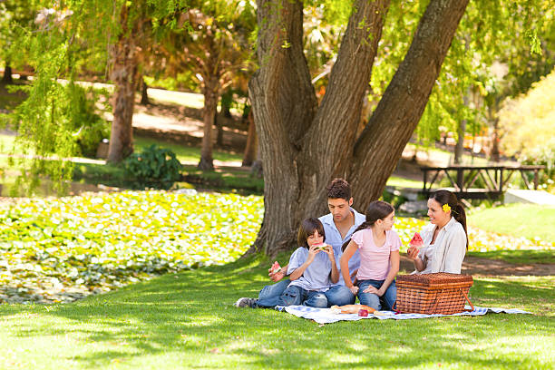 carino famiglia fare pic-nic nel parco - picnic foto e immagini stock