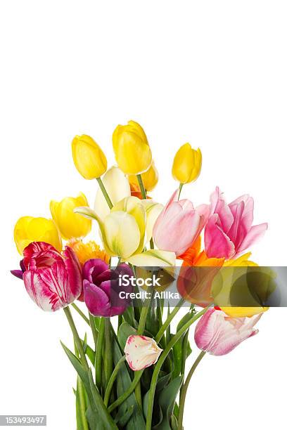 Photo libre de droit de Bouquet De Tulipes banque d'images et plus d'images libres de droit de Beauté - Beauté, Beauté de la nature, Bouquet formel