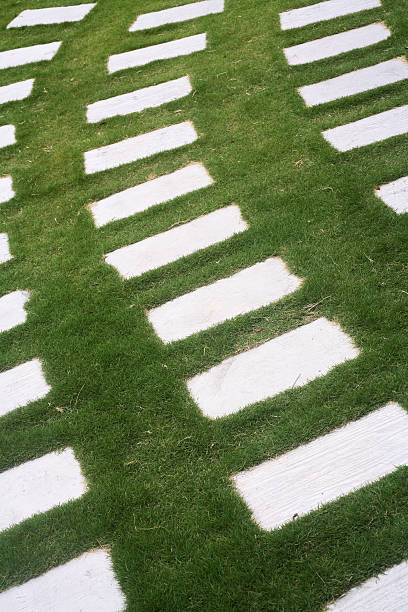 Lawn, Green - Golf Course, Putting Green, Land, Front or Back Yard