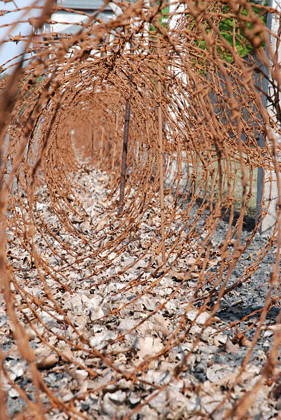 barbed wire rosty-rostiger Stacheldraht stock photo