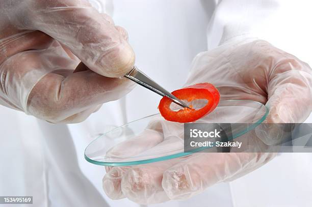Papryka Jest Badane W Laboratorium Żywności - zdjęcia stockowe i więcej obrazów Badanie genetyczne - Badanie genetyczne, Bakteria, Bez ludzi