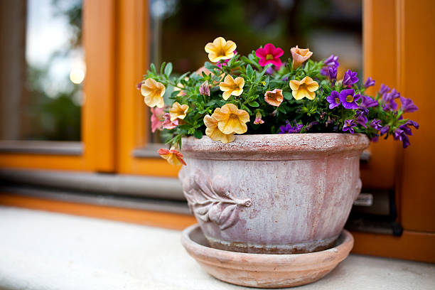 istock flowerpot with colorful flowers 153495297