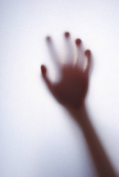 istock Girls palm 153495306