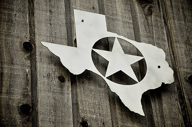 istock silver badge of texas on wood 153495547