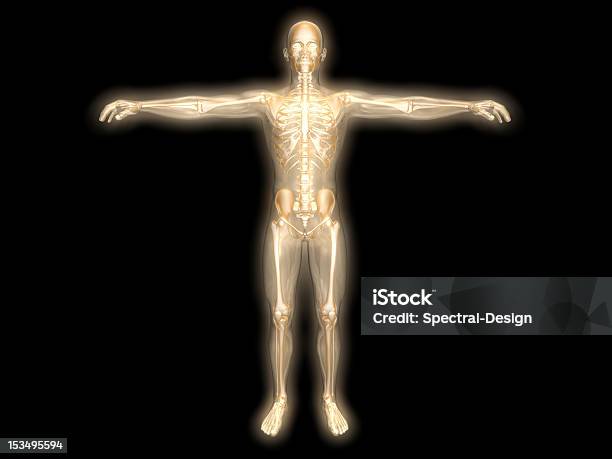 Corpo De Energia - Fotografias de stock e mais imagens de Anatomia - Anatomia, Meditar, Zen