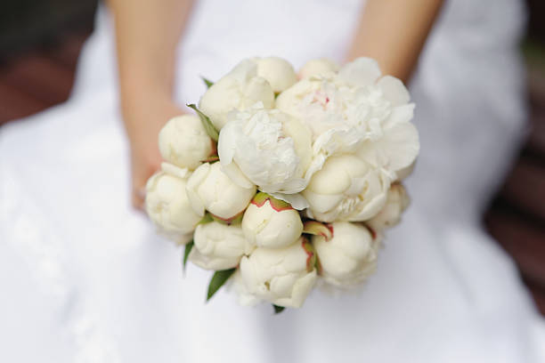 istock Bride holding peonies wedding bouquet 153496371