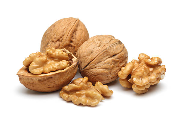 walnut 2 - walnut pod nutshell cross section fotografías e imágenes de stock