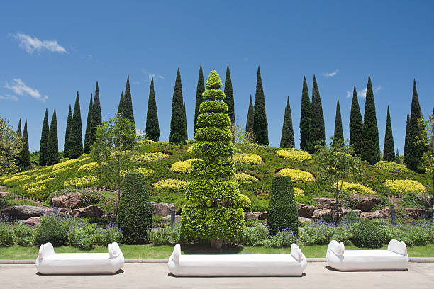 istock Beautiful asian formal garden 153496903