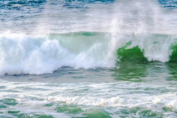Sea Spray