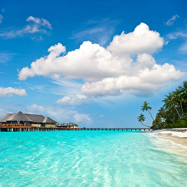 istock paradise island landscape 153497209