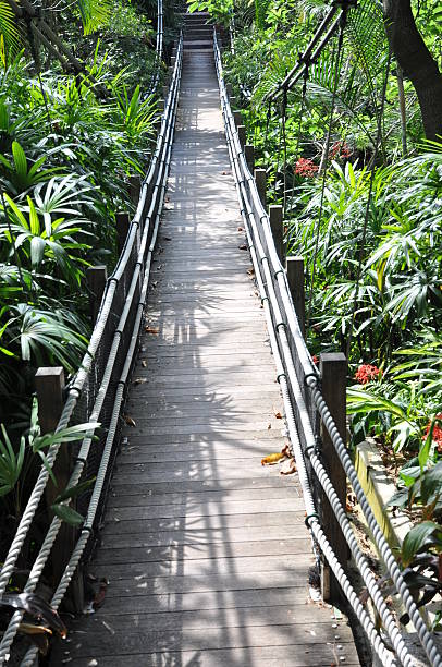 A suspensão para trekkers Ponte de Pé - fotografia de stock