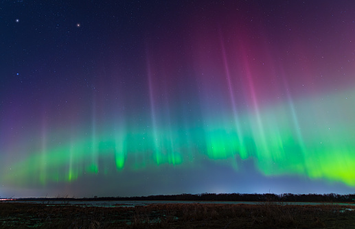 An intense aurora show suddenly shoots pillars of auroras into the sky, like a fence.