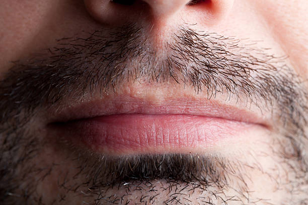 istock Stubble Around a Male Mouth 153497883