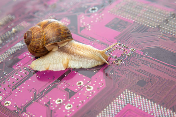 istock snail crawls on a computer electronic circuit board. The concept of a slow computer. 1534987995