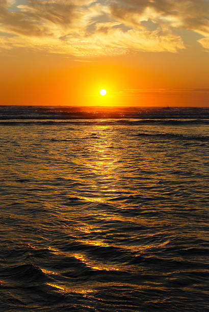 Beach sunset stock photo