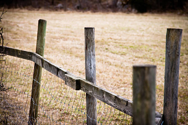 istock Wooden fence on a field 153498891