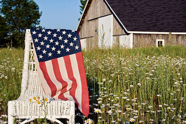 American Flag American flag draped over white wicker chair in field of wild daisies. american flag flowers stock pictures, royalty-free photos & images