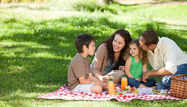 istock Family  picnicking together 153499291