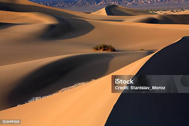 Dune Di Sabbia - Fotografie stock e altre immagini di Ambientazione esterna - Ambientazione esterna, Area selvatica, Avvallamento