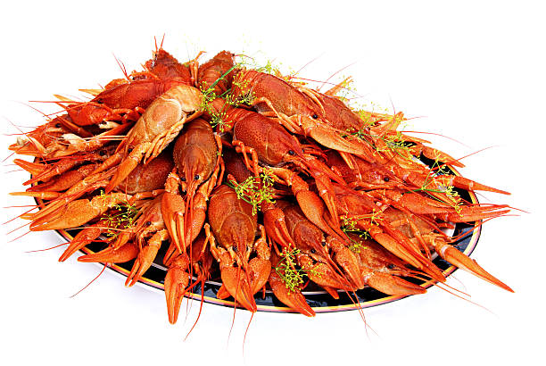 istock Crayfish cooked in dill arranged on a tray 153499383