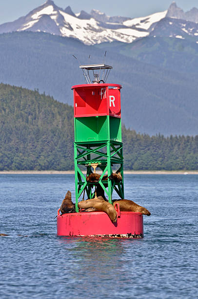 istock Buoy and Seals in Alaska 153499494
