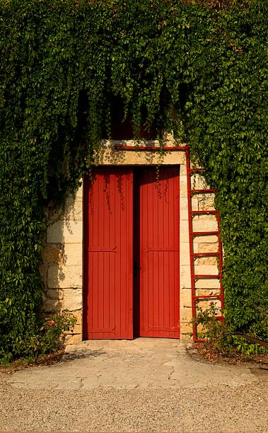 Cтоковое фото Red Door