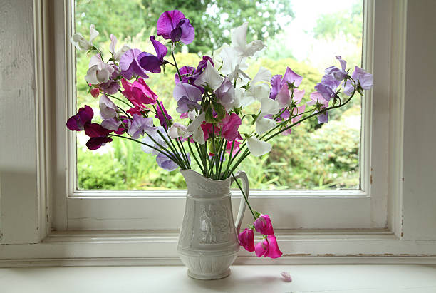 istock Flowers on a window sill 153500026