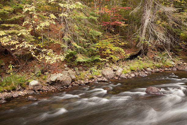 Los colores del otoño y al río - foto de stock
