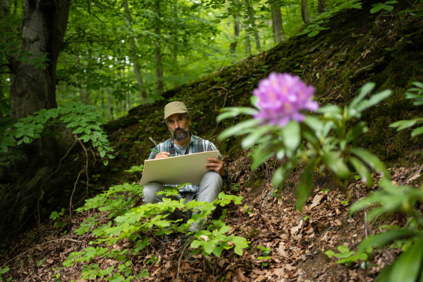 istock Botanist working for forest management. Rhododendron ponticum. 1535007057