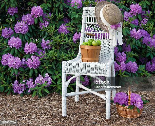 Giardino Estivo - Fotografie stock e altre immagini di Aiuola - Aiuola, Ambientazione esterna, Azalea