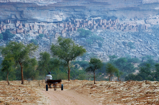 A Dogon man with donkey and cart approaching a village at the base of the Bandiagara escarpment in Mali